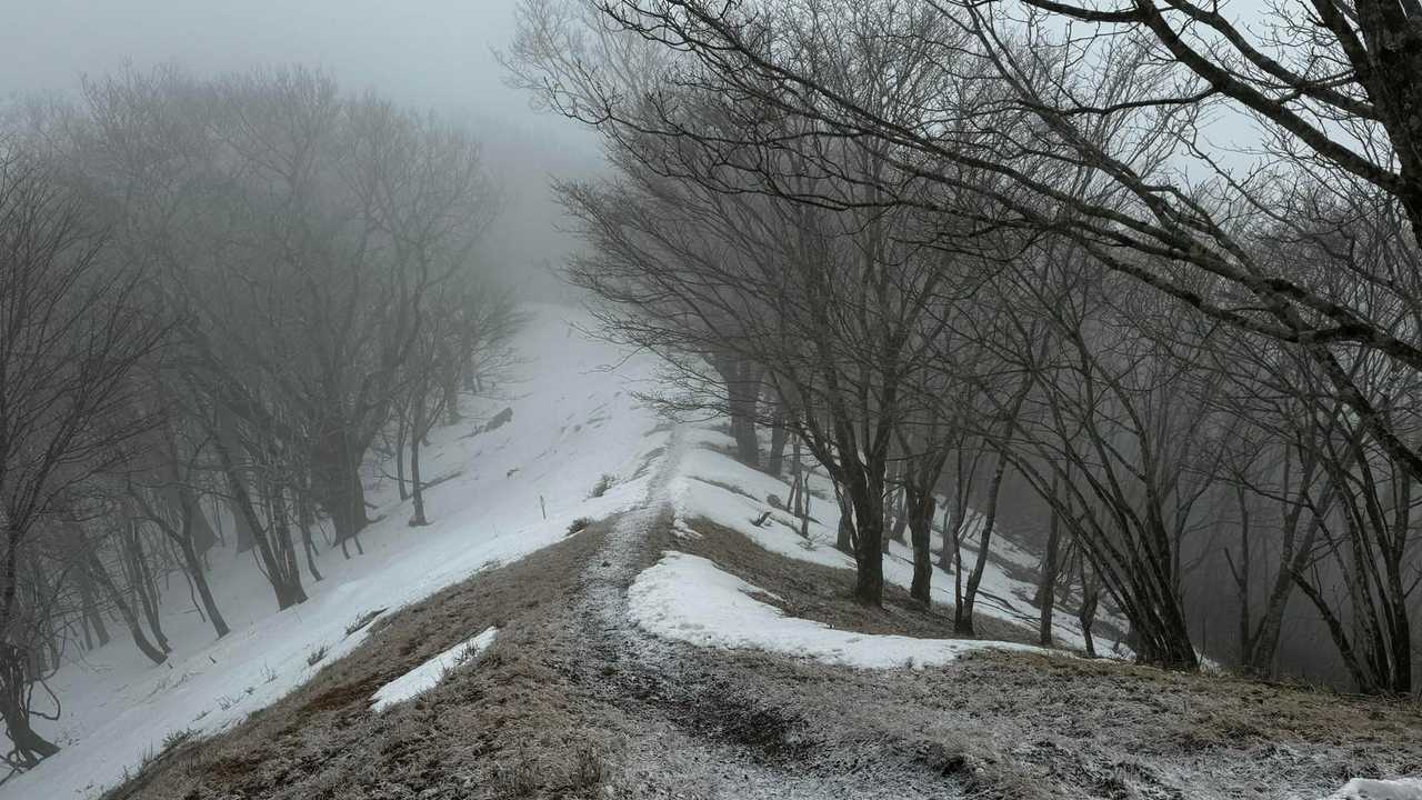 奥多摩、石尾根テン泊縦走（鴨沢〜七ツ石山〜鷹ノ巣山〜六ツ石山〜奥多摩駅） の写真 73
