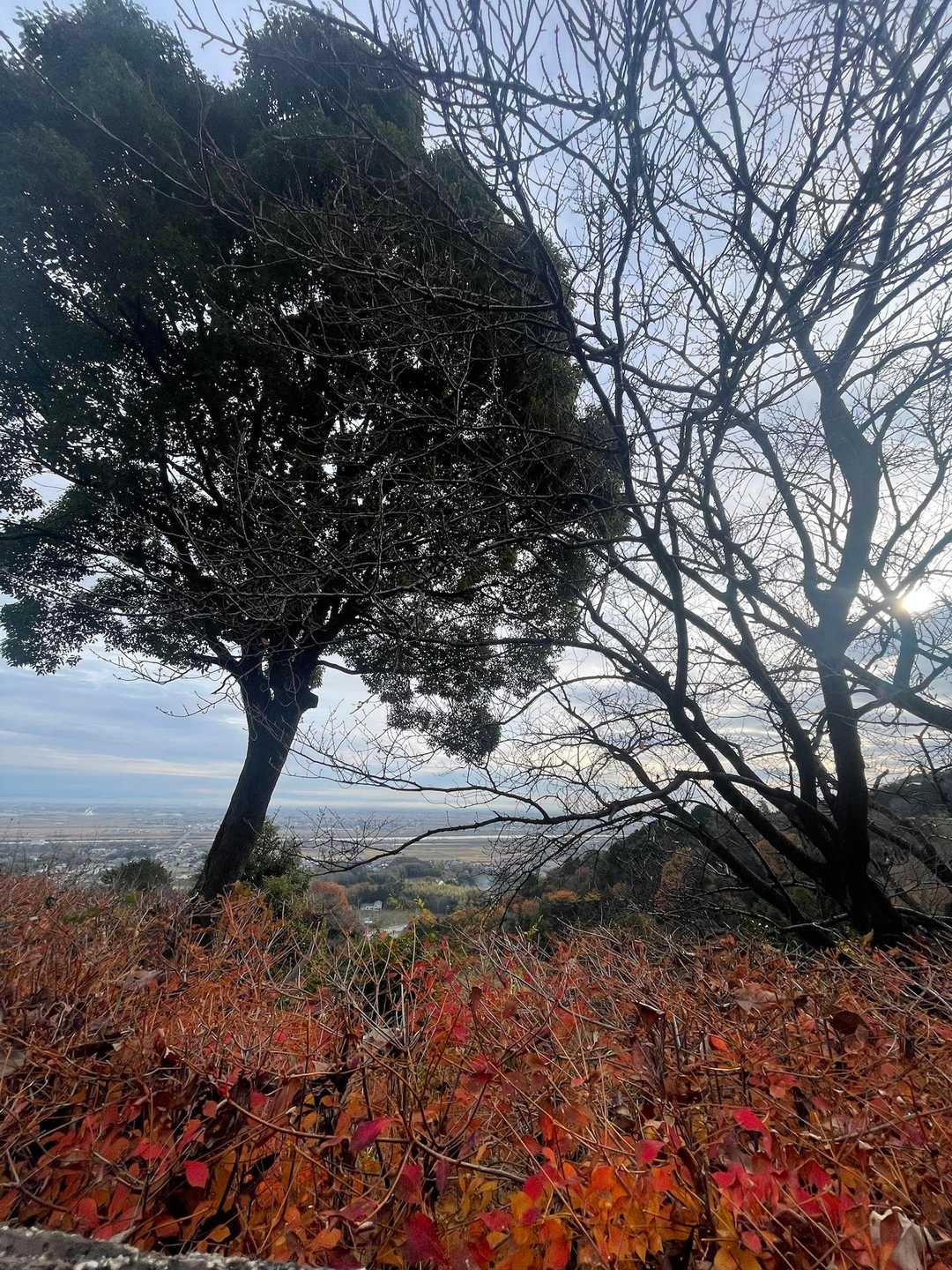 羽沢 周回コースの写真