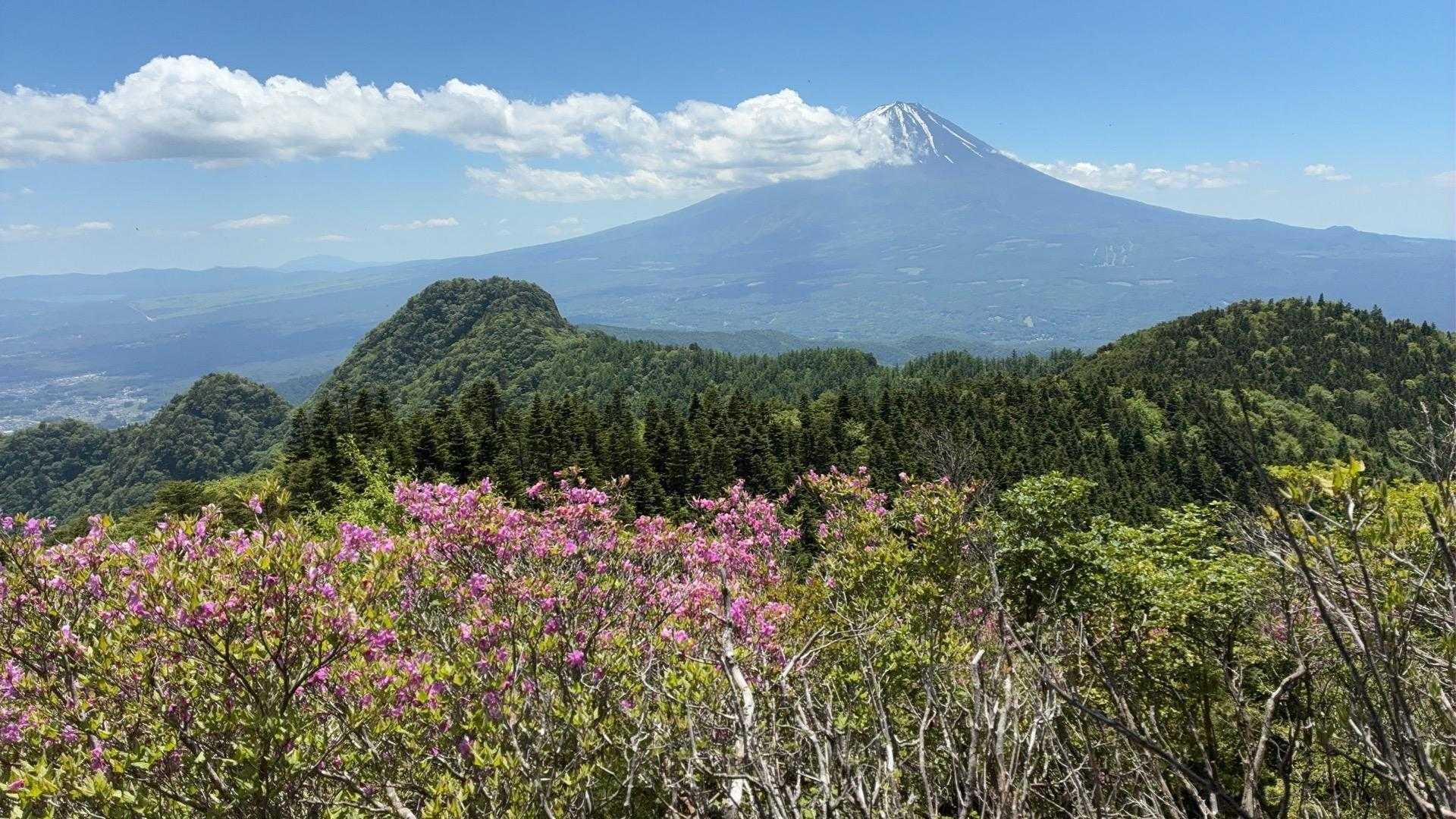 【JAPAN TRAIL】富士山ロングトレイル④（王岳 - 新道峠）の写真