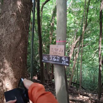 上畑山