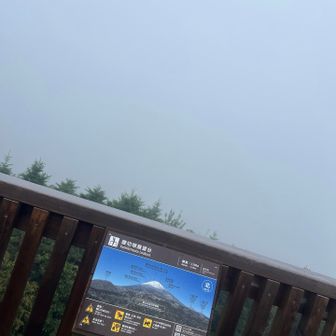見えない。