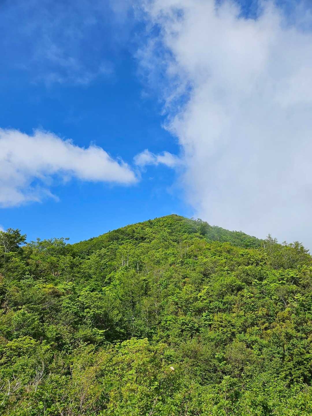何度も立ち止まる景色