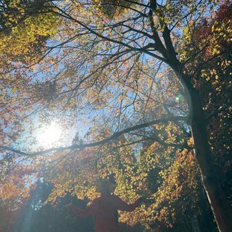 真っ黄色と同化🟡