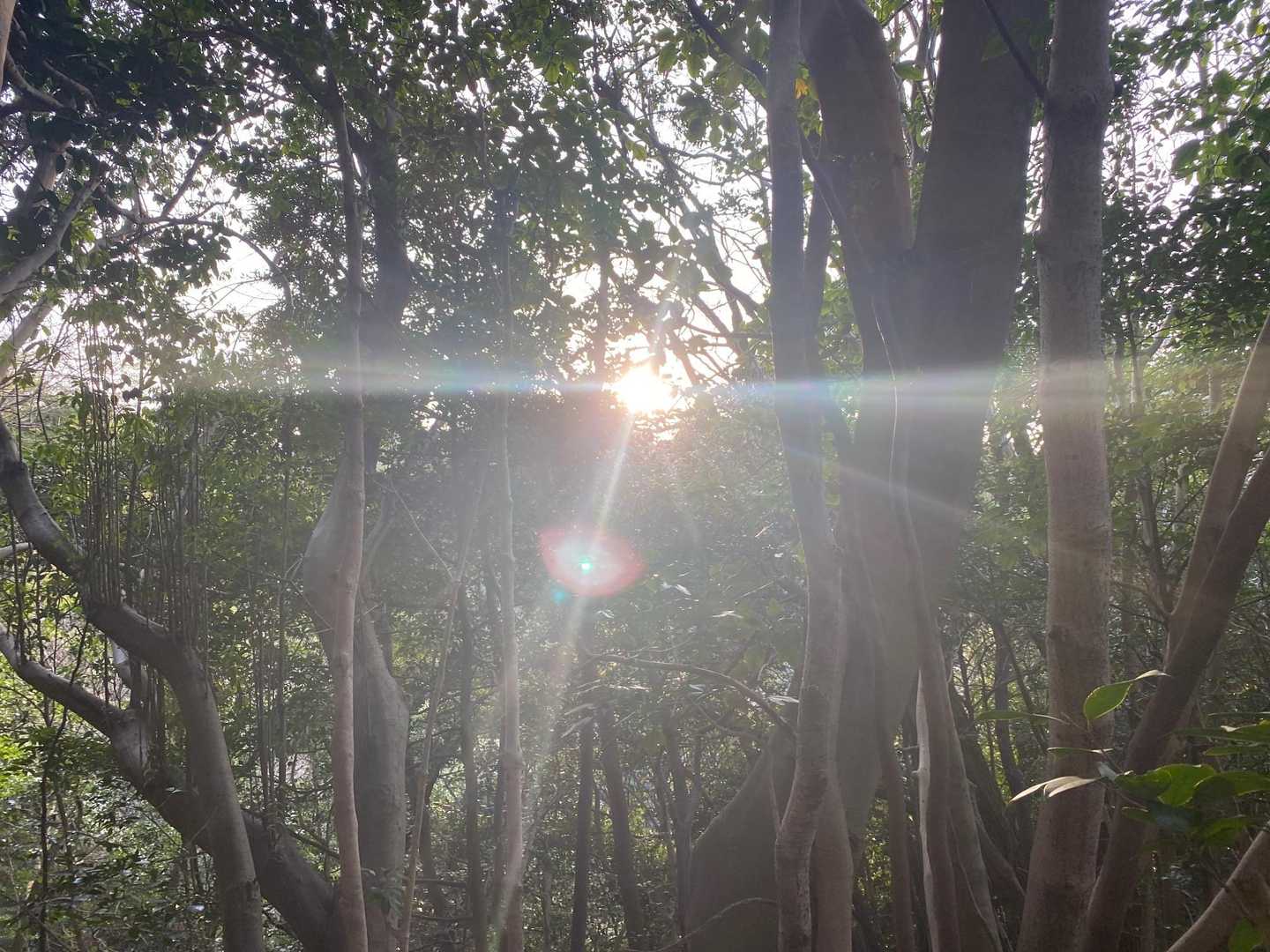 キラキラ✨