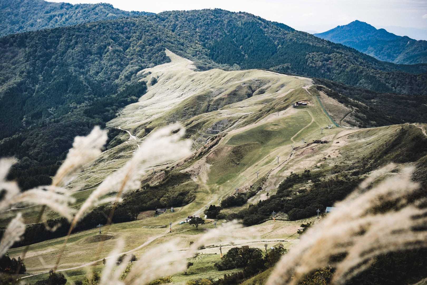 東尾根登山口-氷ノ山-小代越-高丸山-鉢伏山-ハチ高原バス 周回コースの写真