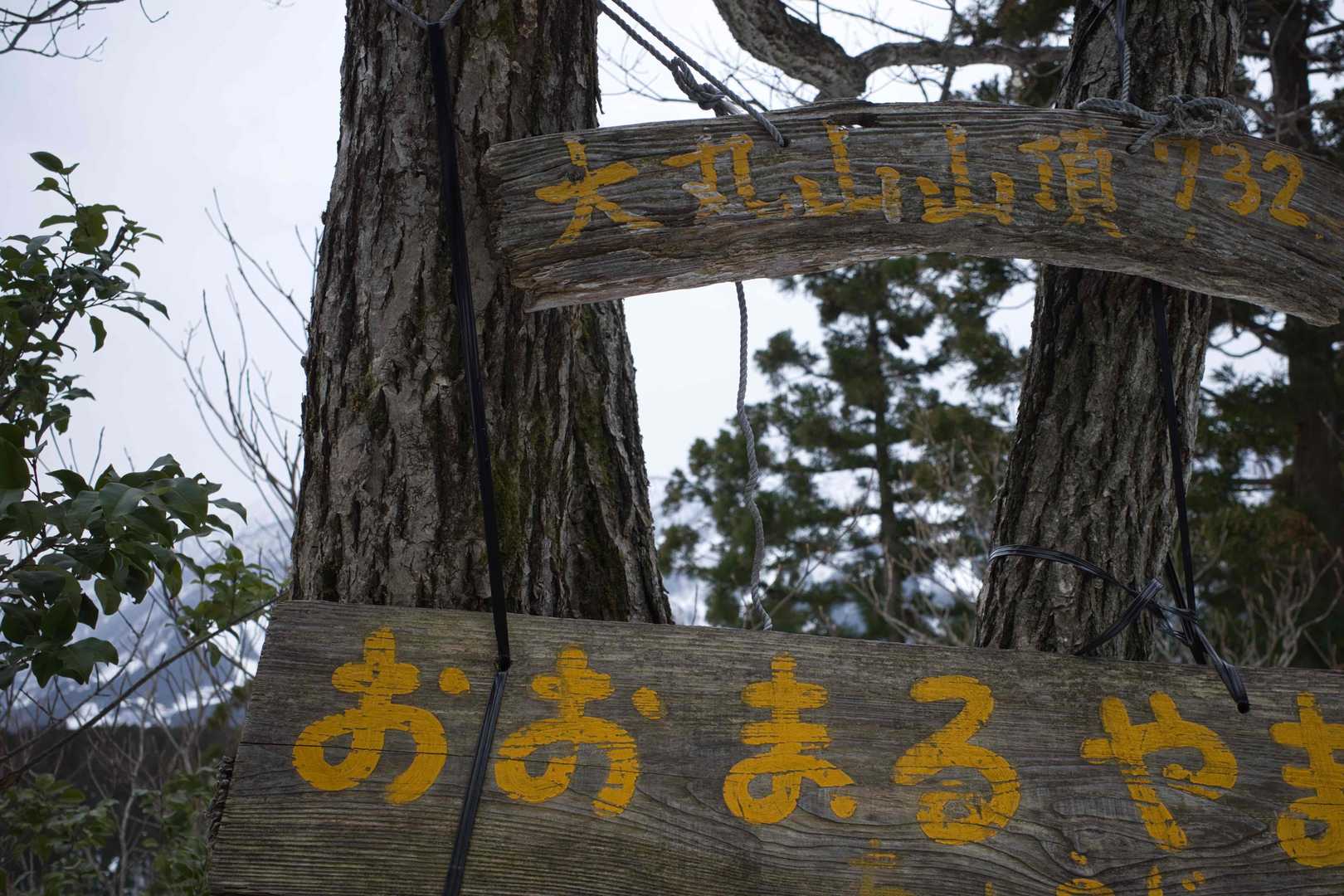 大丸山-来拝山 往復コースの写真