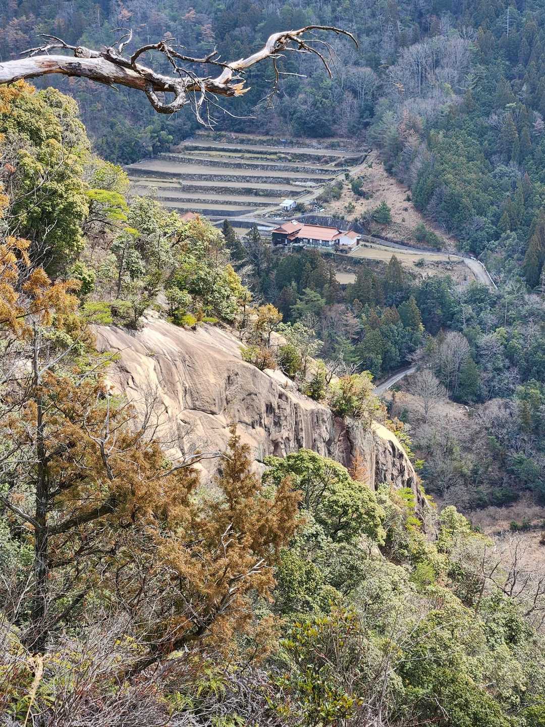 南登山口-鎌倉寺山 南峰-権兵衛山-牛岩登山口 周回コースの写真