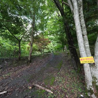 ここから登っていく