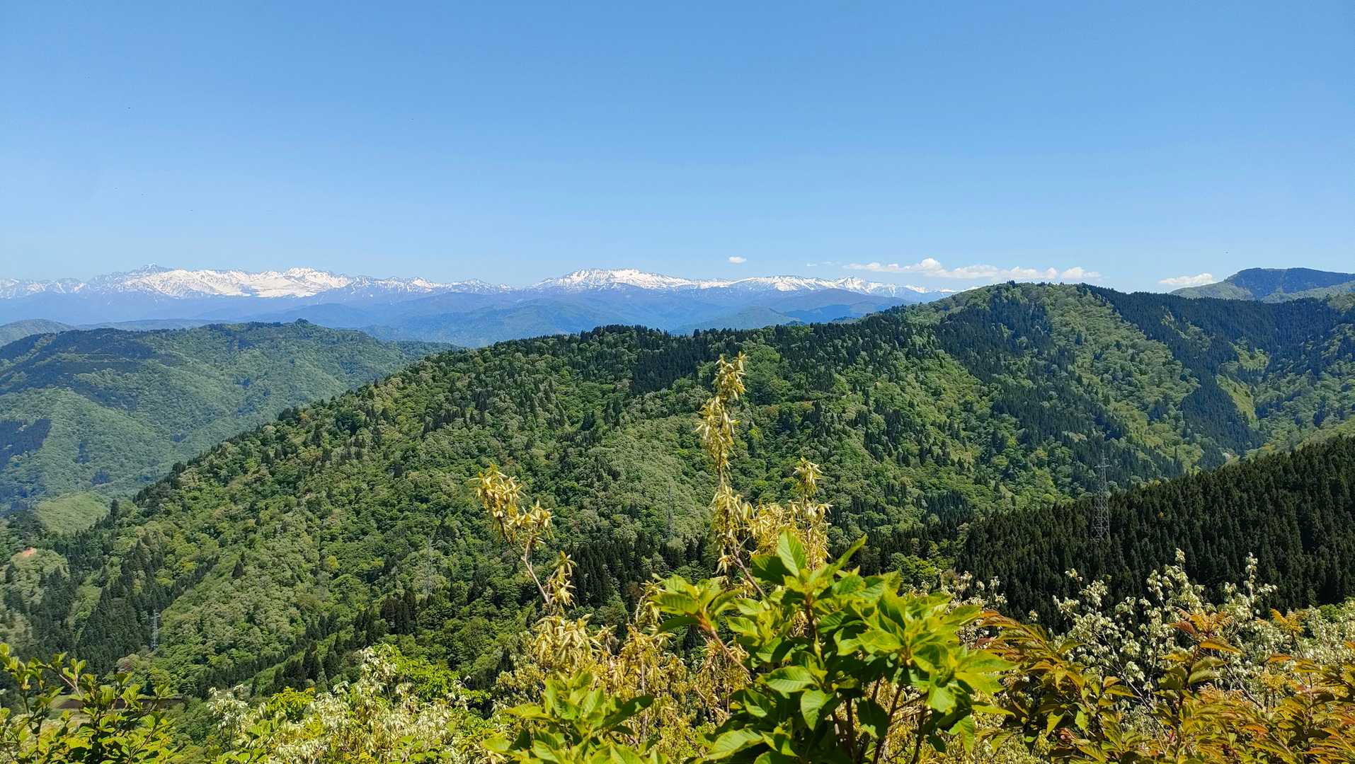 薬師岳、黒部五郎岳も