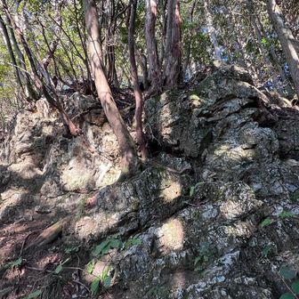 じゃない方の二子山ですけど
全然危険個所はないのだけど
まあガツガツと岩岩してていいわね！