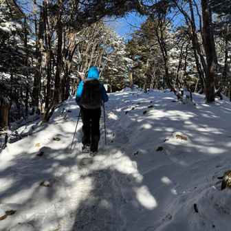 ビクトリーロード✨