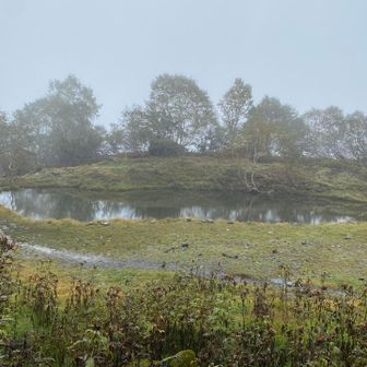 しだいに強くなる雨の中
ぐしゃぐしゃになりながら
白根御池小屋に戻る
出発の時はわからなかった御池
キレイ😍