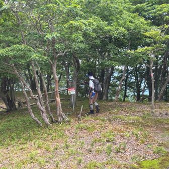 広がってます。何やら看板??