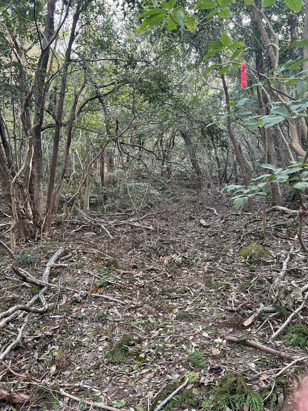 ちょっとわかりにくい疲れた🤏先行者おられて良かった。