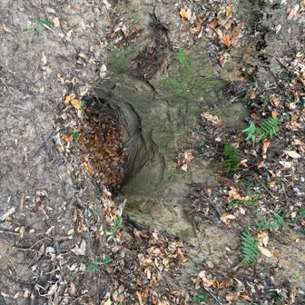 なんかデカい穴見つけた