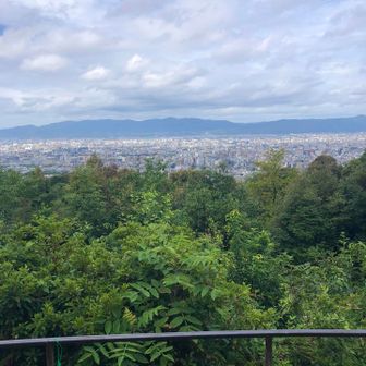 東山展望台。以前ゴミ拾いした時に比べて少しはましでしたが、まだ落ちてますね。また、掃除しに来ます。

スッキリ東山。
https://yamap.com/activities/39437969