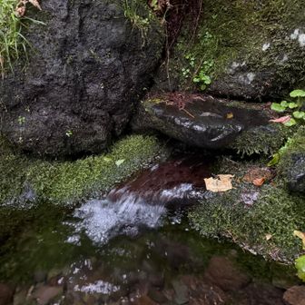 甘露泉水。皆さん水を汲んでました