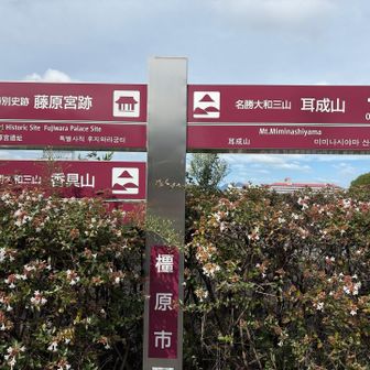 次は耳成山へ