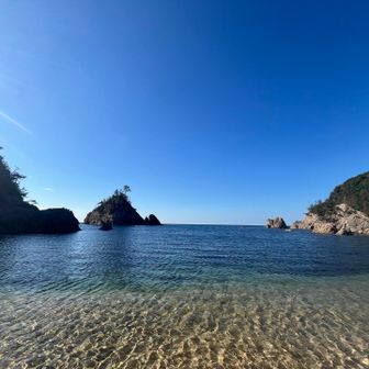 海が透明すぎるぅ