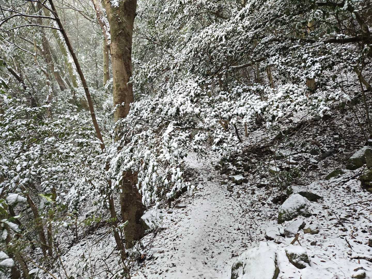 すぐに雪景色⛄