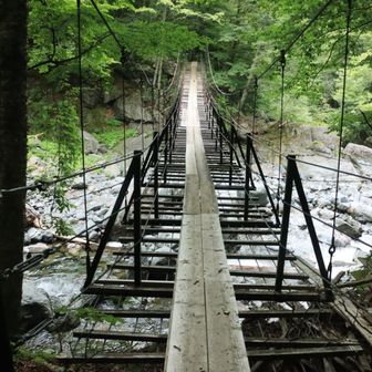聖沢大吊り橋