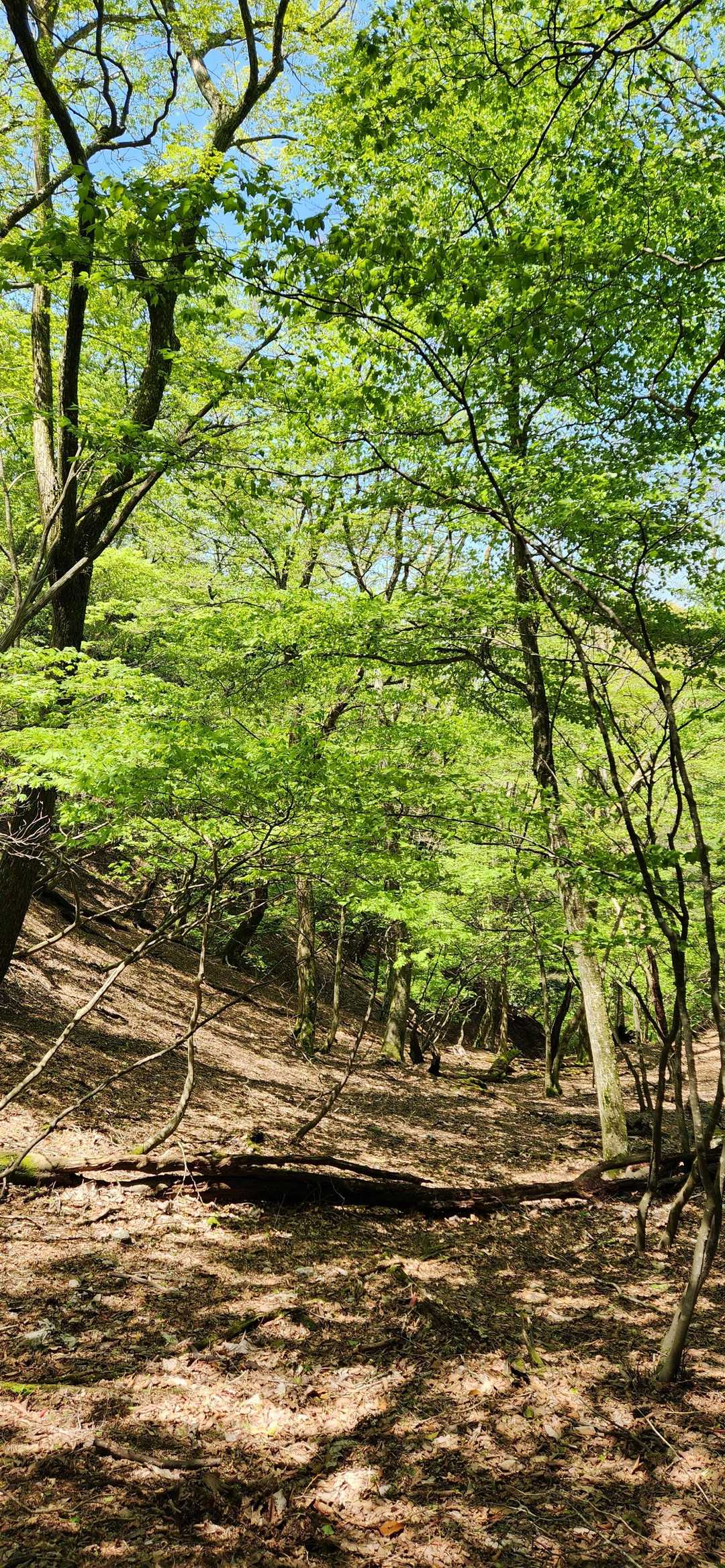 気持ちの良い場所です。