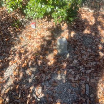 朝日山は三角点のみ