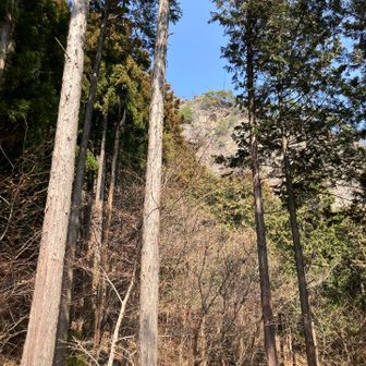 あの岩登るのかーって思った場所🪨