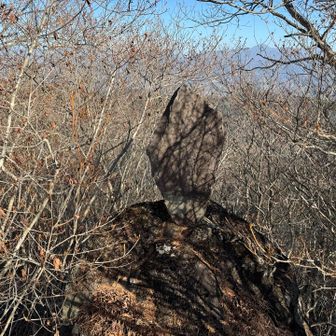 浅間山の石碑
何が祀ってあるかは不明😆