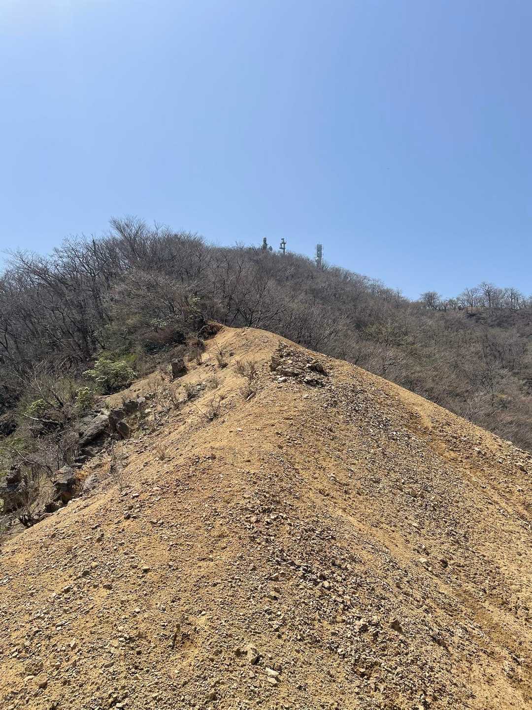 大山☆鍵掛裸地尾根VR +ヤツ / はるるんの登山データ | YAMAP / ヤマップ