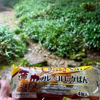 東屋で休憩　最近種類が増えすぎた感のある薄皮の「カレーコロッケぱん」 美味しかった😋