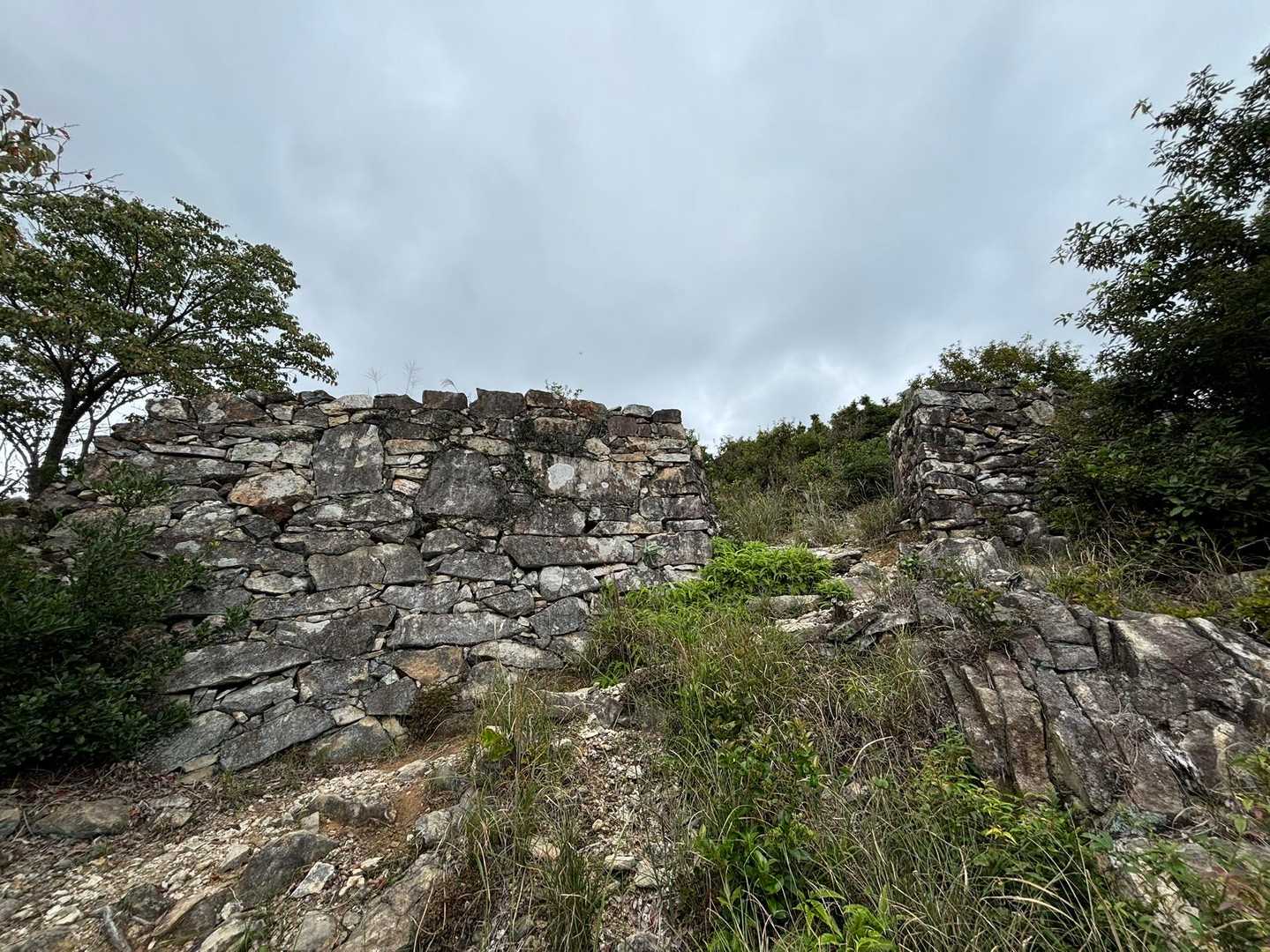 清水山 往復コースの写真