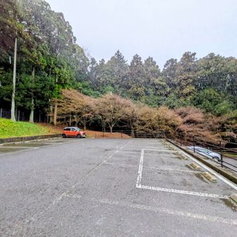 大貝戸駐車場にやってきましたー！着いた時に2台くらいあったので、先行者がいるかも、ってことで雨スタートです