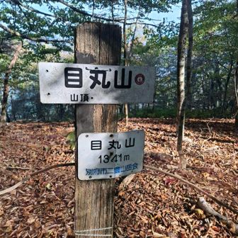 はい、先ほど見えた目丸山にとうちゃこ😎