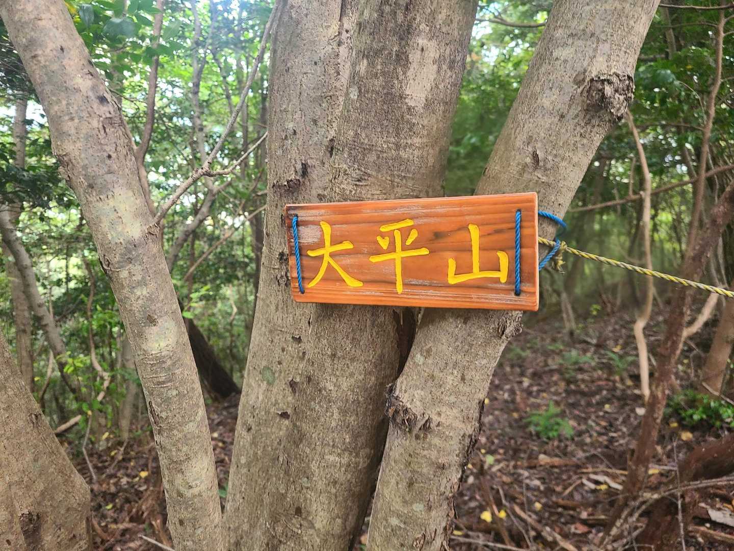 大平山 往復コースの写真