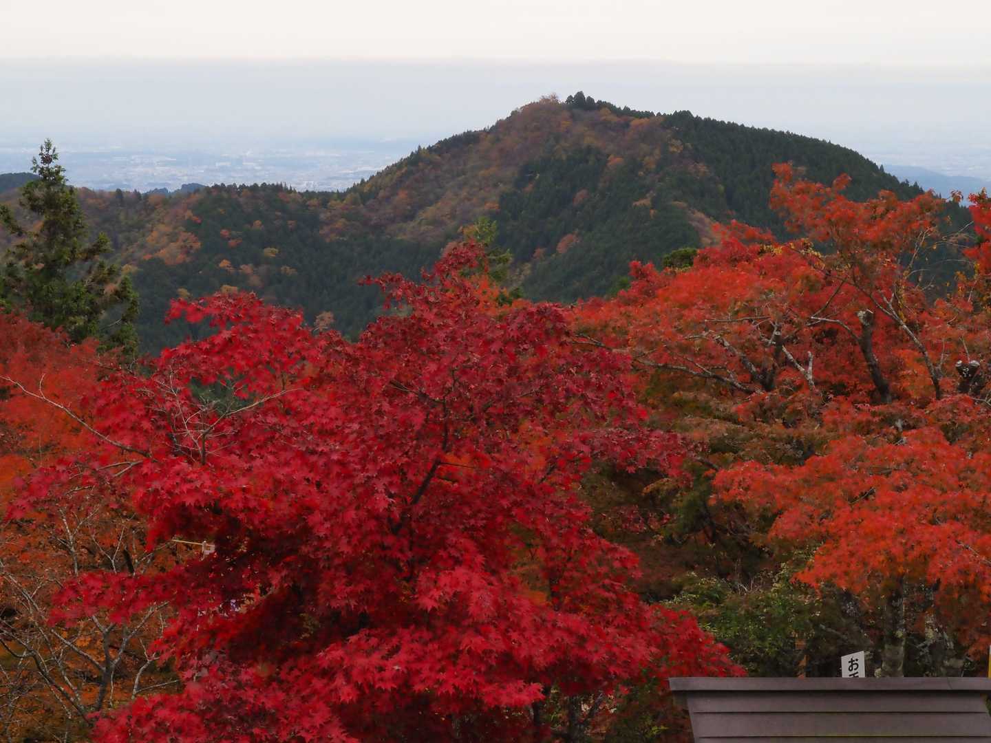 御嶽神社から日の出山を望む