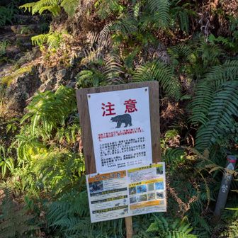 去年9月位に熊🐻が目撃されたそうです。