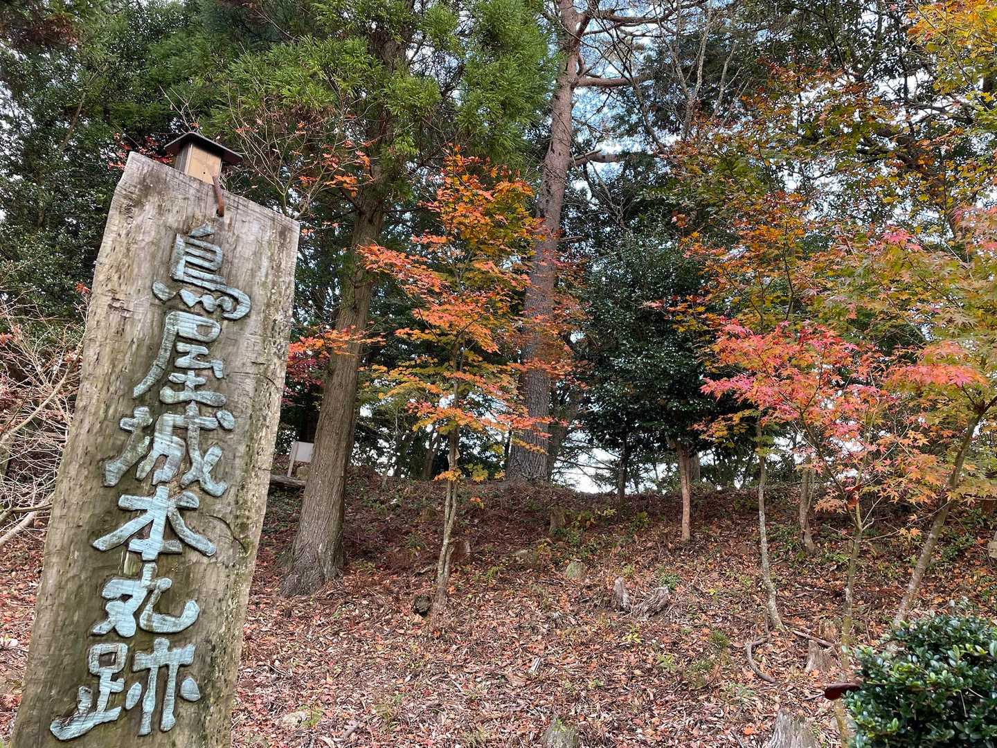 鳥屋城本丸跡