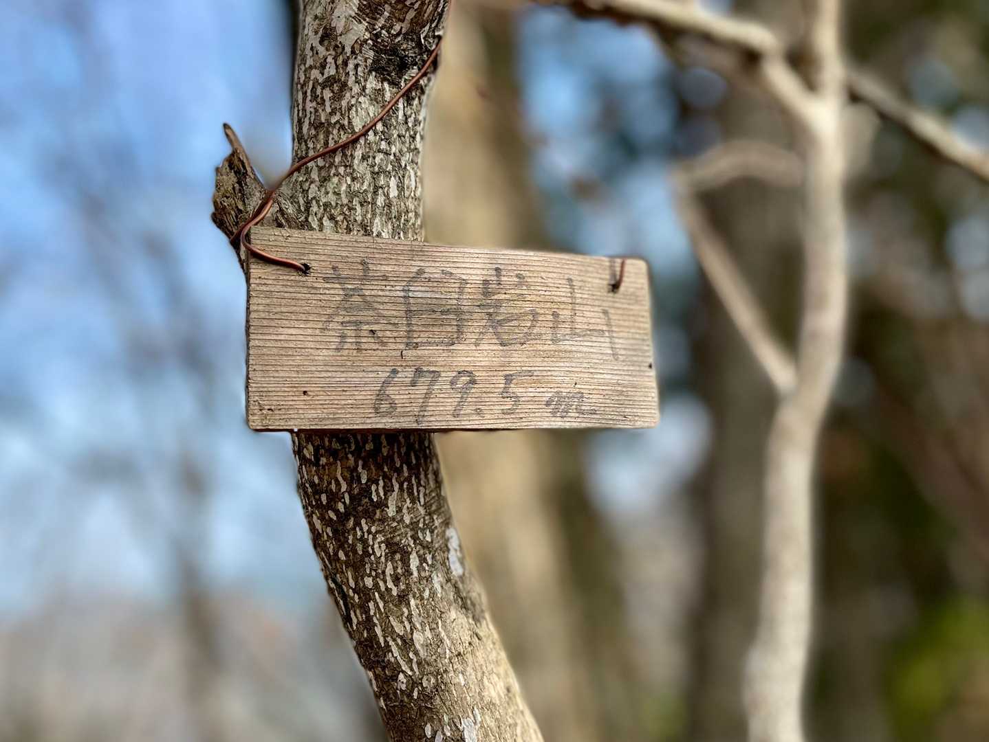 茶臼岩山の山頂に到着です😌ﾌｩ