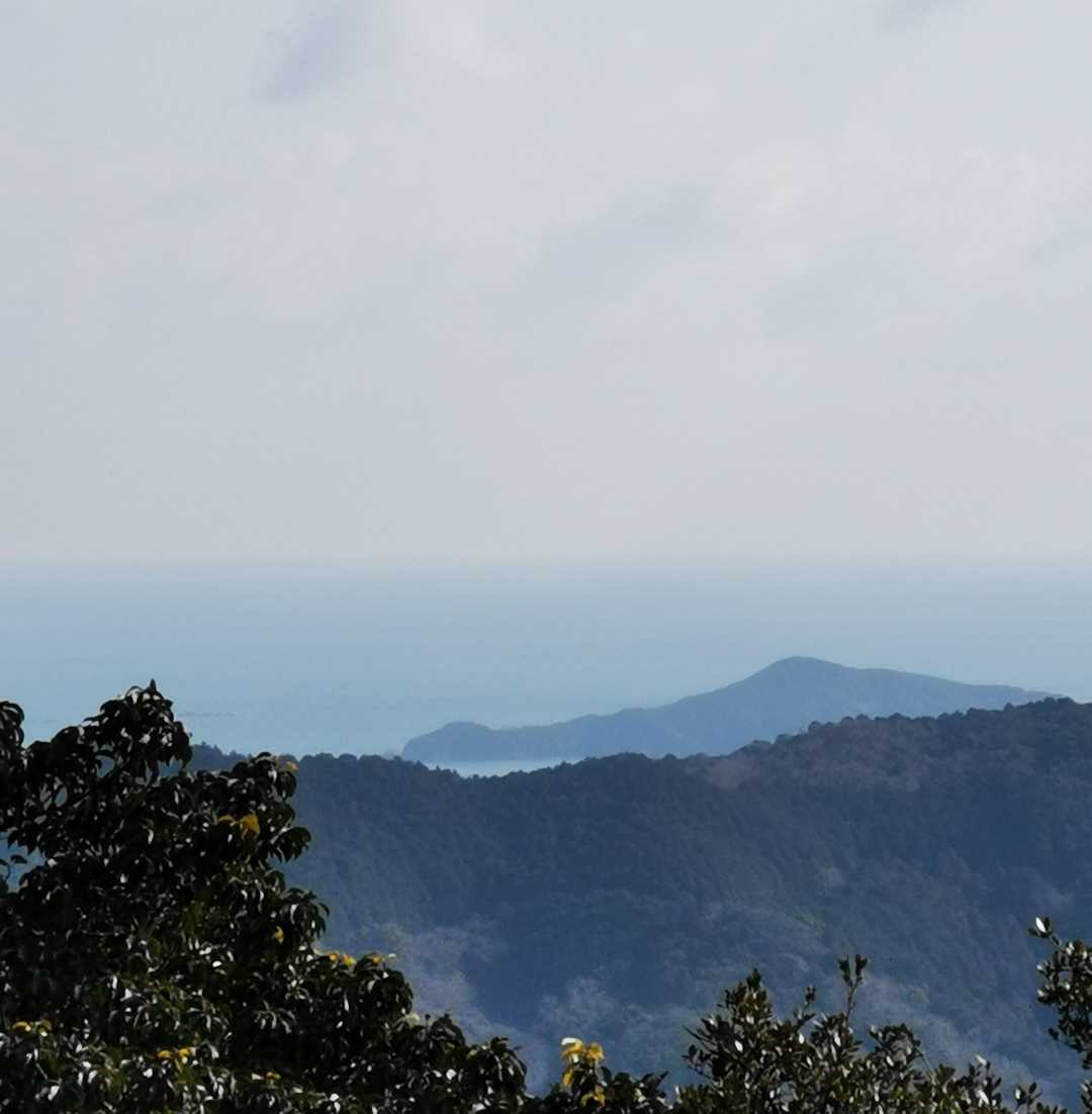 池の浦方面かな？