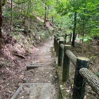 なんとなく弥彦山の表参道に似た道もあるような…🤔