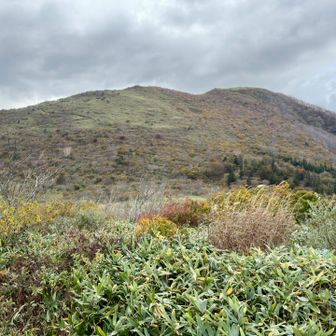 下山したらちょうど曇ってきた