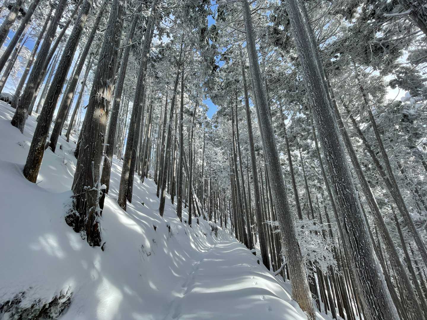 原バス停-愛宕山 往復コースの写真
