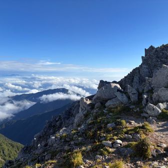 富士山も見えた