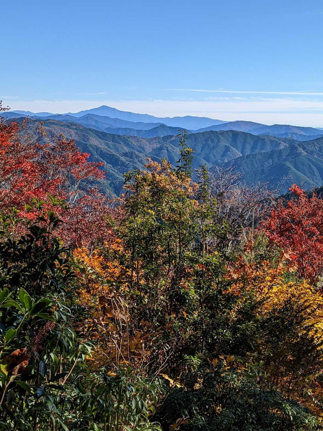 火打峠-高天良山 周回コースの写真