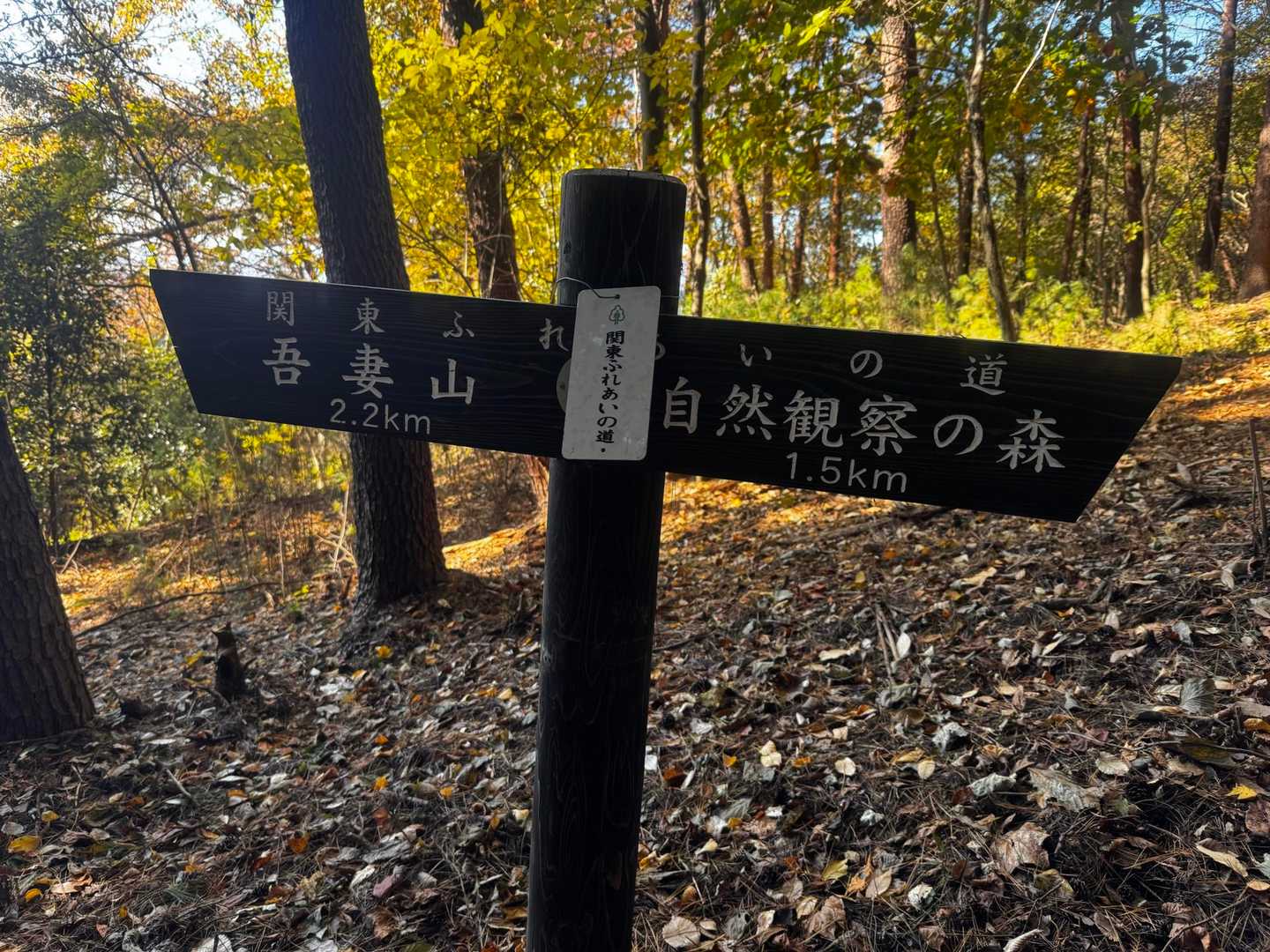 ここも関東ふれあいの道🚶‍♀️