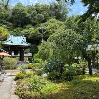 海蔵寺境内