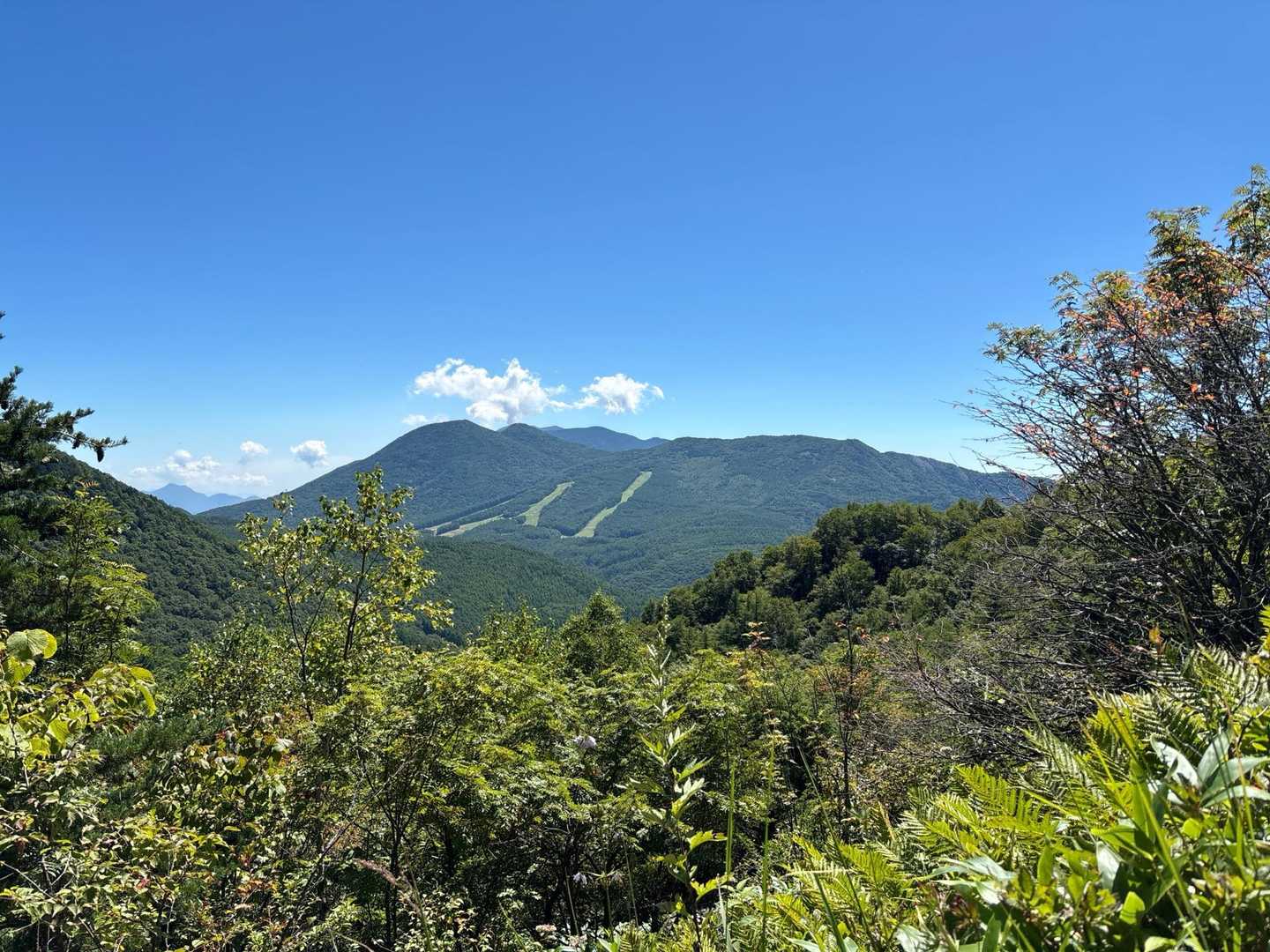 浅間山から噴煙が出ていました
左奥の山⛰️