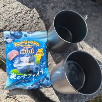 本日のおやつ
先日たまたま買った割引のカントリーマアムが偶然にも長野県産ブルーベリー味w