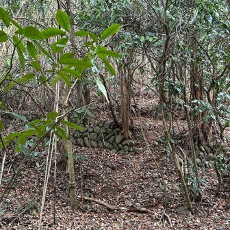 この石垣なにか不思議な感じするんだよなー
崖沿いに何ヶ所かあるよね。いつの物かなぁ
誰か調べてくれないかなー